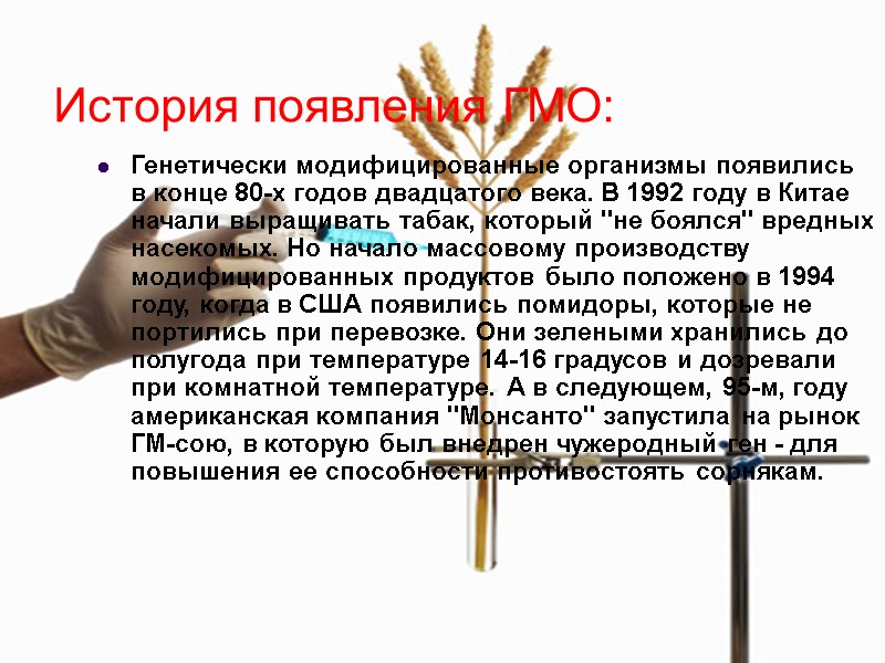 История появления ГМО: Генетически модифицированные организмы появились в конце 80-х годов двадцатого века. В